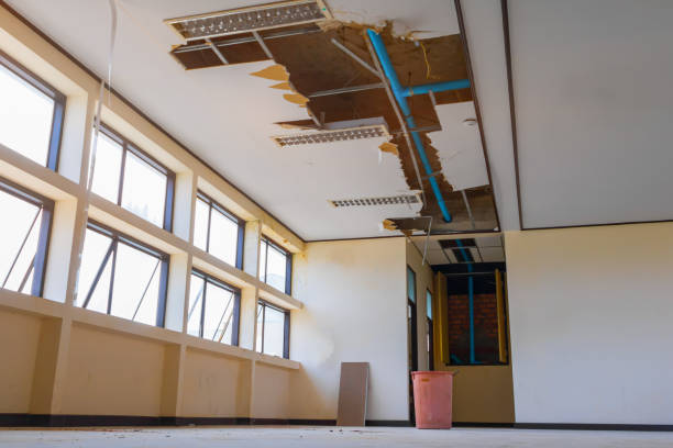 Best 24-hour water damage restoration  in Arche, OK