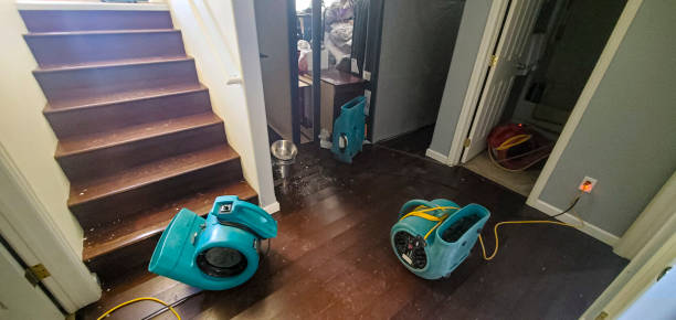 Best Water damage restoration cost  in Arche, OK