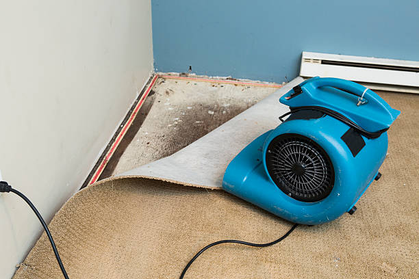 Best Flood restoration services  in Arche, OK
